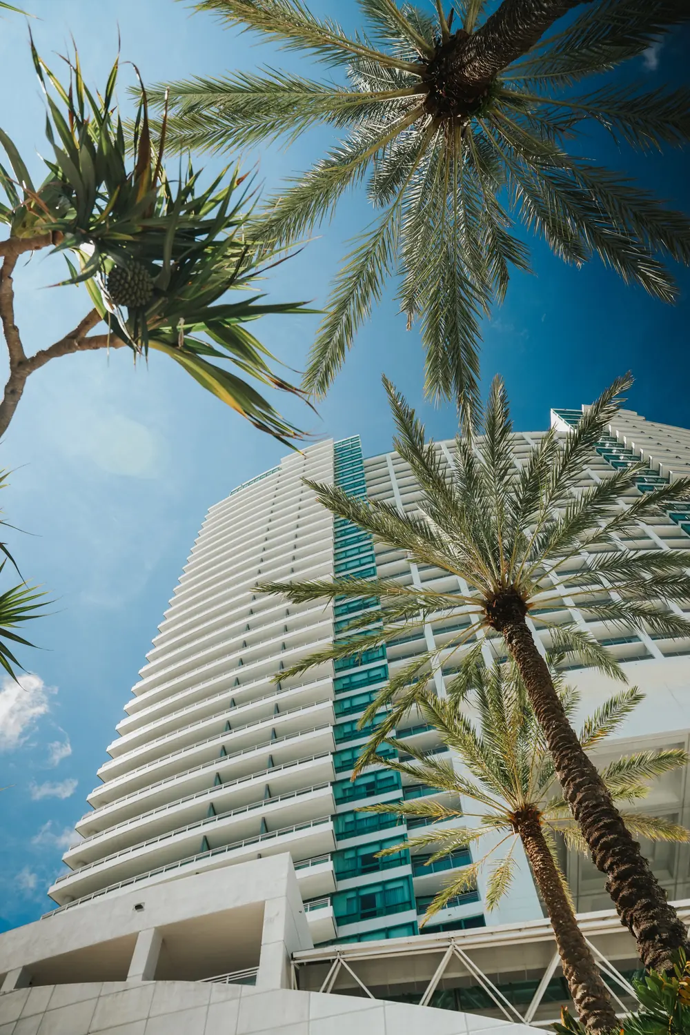 FIU, Miami, Florida