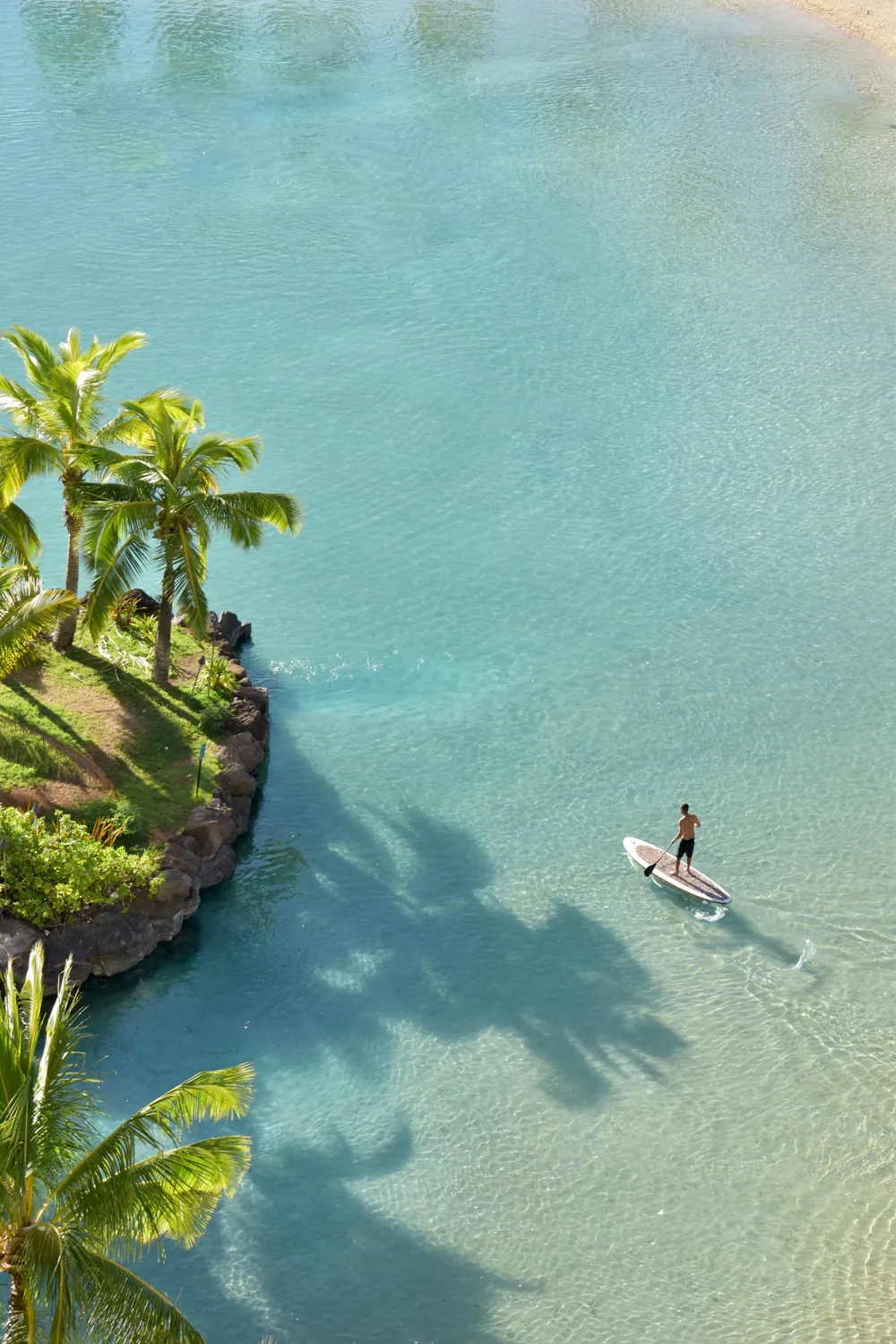University of Hawaii, Honolulu, Hawái